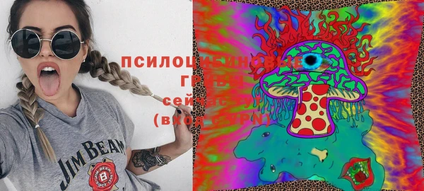 дживик Балахна