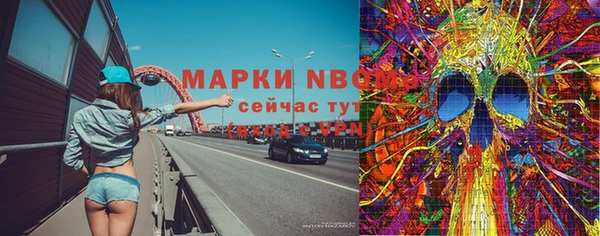 спайс Кулебаки