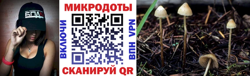 Псилоцибиновые грибы мухоморы Шлиссельбург